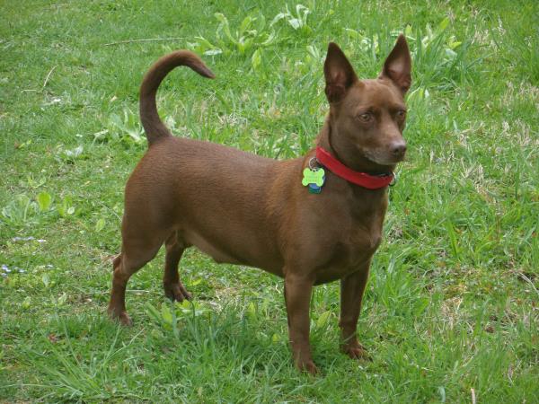 /Images/uploads/Four Footed Friends/FourFootedFriends/entries/18318thumb.jpg